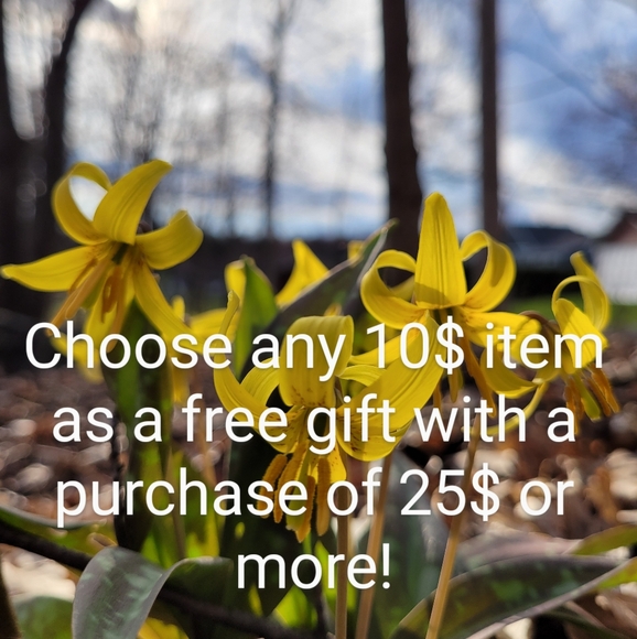 Meet your Posher, Patricia - Picture 2 of 2